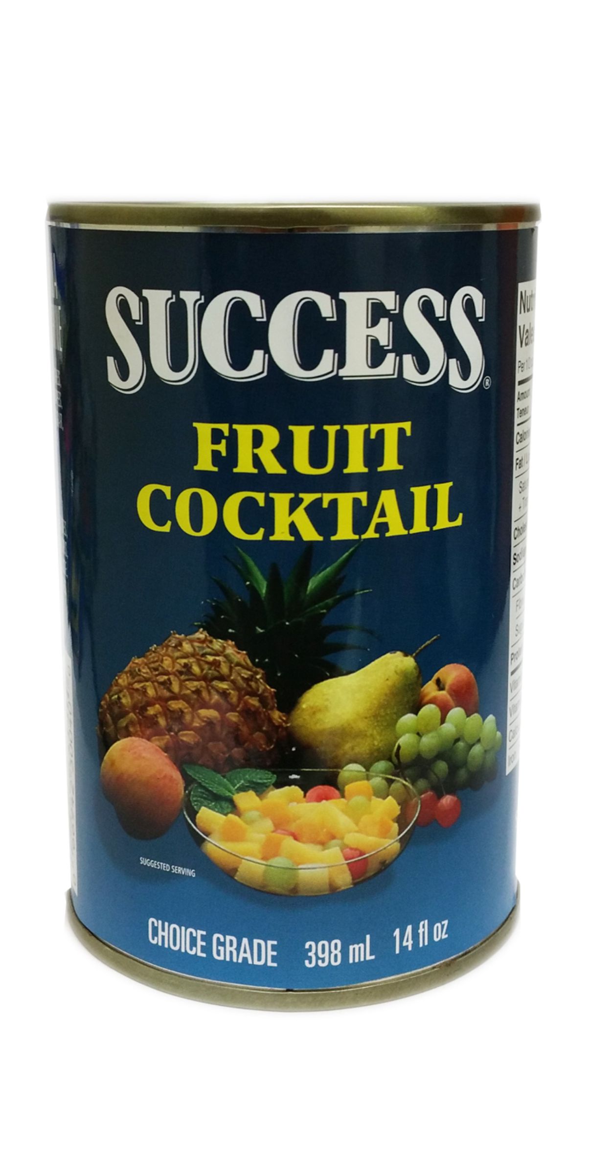 30968 SUCCESS FRUIT COCKTAIL IN LIGHT SYRUP 24/398mL Worldwide Food